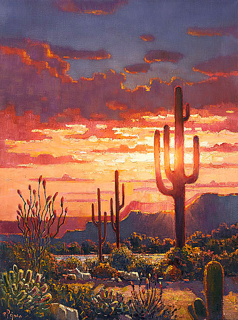 Bob Pejman - Desert Pathway